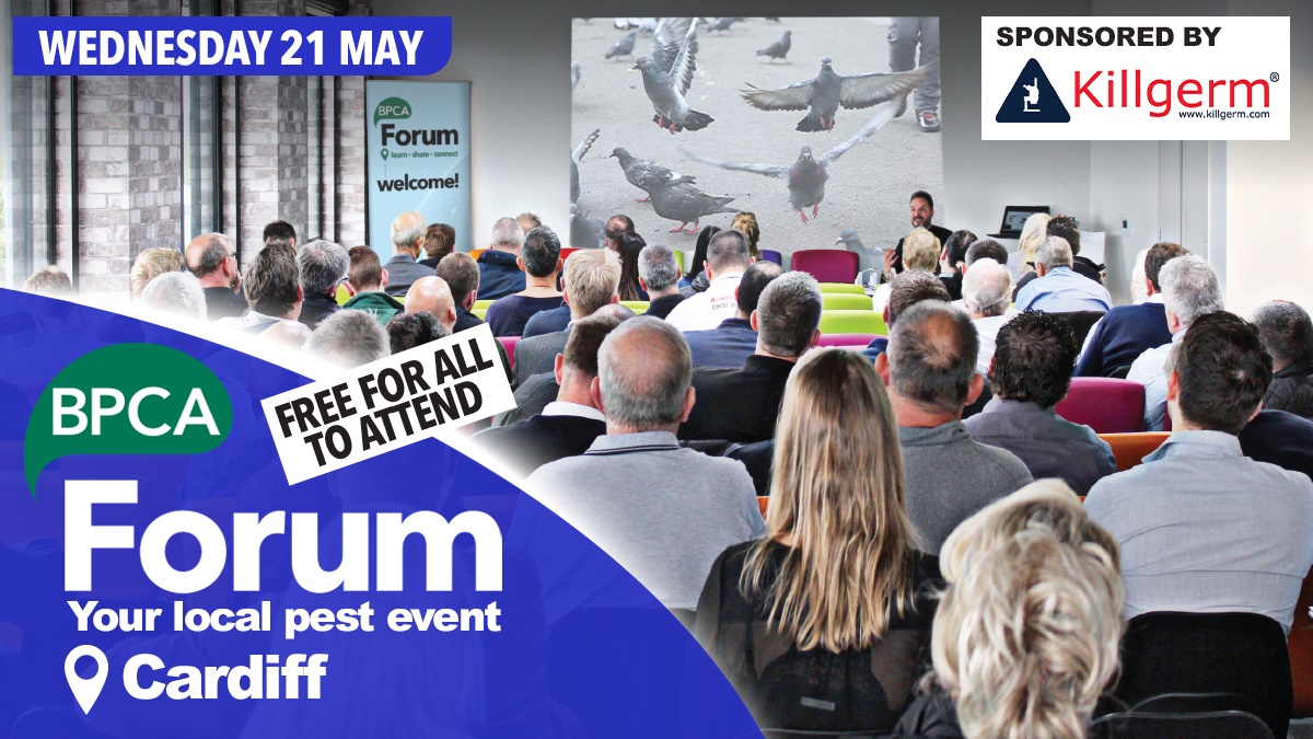 forum cardiff hero forum cardiff hero